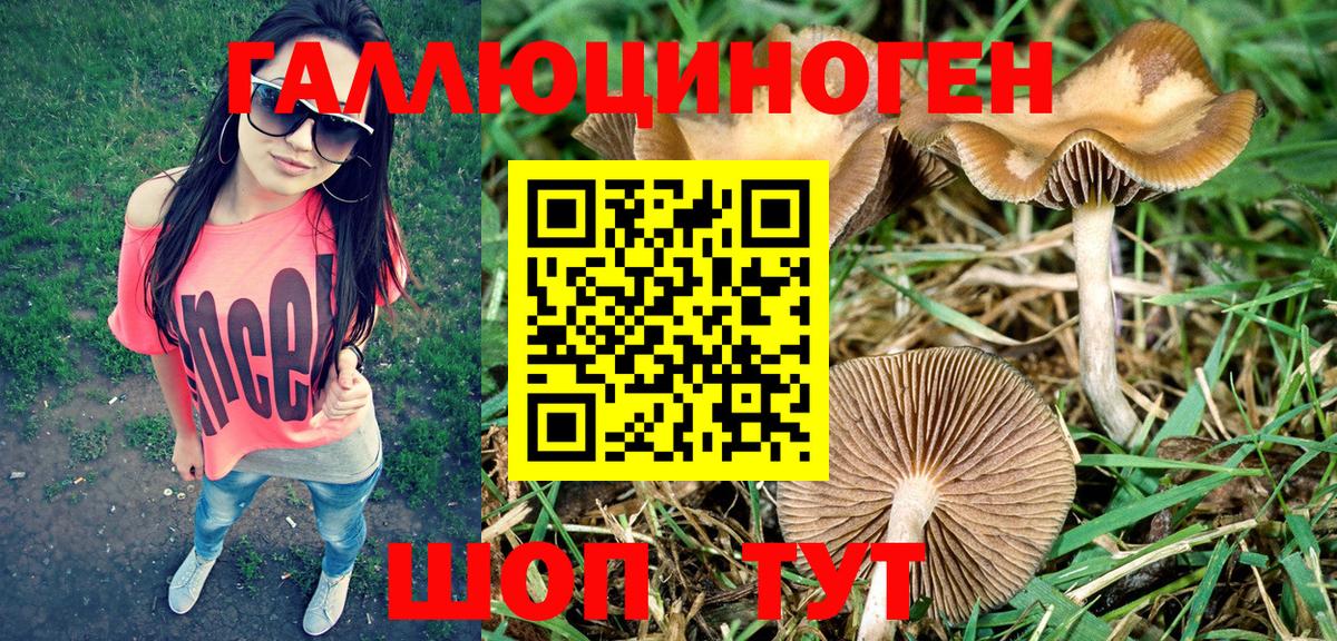 Галлюциногенные грибы Psilocybe  Вход с VPN  Галлюциногенные грибы MAGIC MUSHROOMS  Северобайкальск 